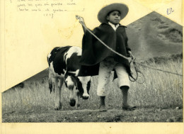 Micias L'enfant Des Andes Ancienne Photo Découpée Et Montée Beauvais 1960 #9 - Autres & Non Classés