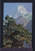 Gc8508 NEPAL Wild Faune Animals PANTHERA Hidro Electric Station /Postcard Hotel Shaileshwa Ri Mailed Blieskastel -BRD - Elektriciteit