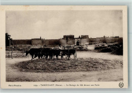 10512205 - Taroudant - Other & Unclassified