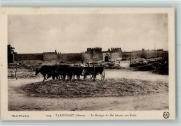 10512205 - Taroudant - Andere & Zonder Classificatie