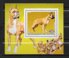 PA - 1985 - N°187*MNH - Chiens, Boxer - 2 - Guinea (1958-...)