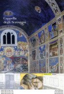 Cappella Degli Scrovegni 2003. Folder. - Autres & Non Classés