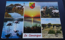 La Camargue - Les Editions "MAR", Nice - Other & Unclassified