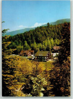 39450605 - Hinterlangenbach - Baiersbronn