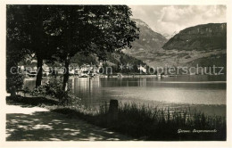 13012790 Gersau Vierwaldstaettersee Seepromenade Alpenblick Gersau - Andere & Zonder Classificatie