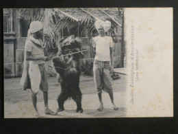 DN11 FRANCE CARTE RARE . LES MONTREURS D OURS +JARDIN D ACCLIMATATION A PARIS - Bären