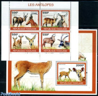 Togo 2010 Antelopes 5v (2 M/s), Mint NH, Nature - Animals (others & Mixed) - Togo (1960-...)