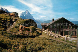 13003068 Grindelwald Hotel Grosse Scheidegg Moench Eiger Bluemlisalp Grindelwald - Andere & Zonder Classificatie