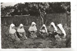 Bouar (République Centrafricaine) : GP Des Soeurs Du Monastère Des Clarisses En 1950 (animé) PF - Zentralafrik. Republik
