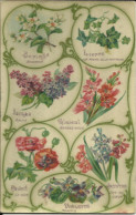 Seringa, Lierre, Lilas, Glaïeul, Pavot, Jacinthe & Violette , 1908 , µ - Bloemen