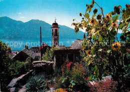 12987840 Brione Sonnenblumen Kirchturm Lago Maggiore Brione - Other & Unclassified