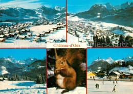 12984600 Chateau-d Oex Fliegeraufnahme Eichhoernchen Eisbahn Chateau-d Oex - Other & Unclassified