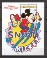 Disney St Vincent Gr 1999 Mickey - Snow MS MNH - Disney