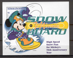 Disney St Vincent Gr 1999 Minnie - Snow Board MS MNH - Disney