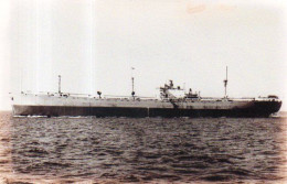 Cargo Evicynthia (ex Liberty Ship William R. Lewis) - Boten