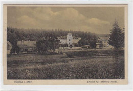 39008605 - Elend I. Harz Partie Von Hampe's Hotel Gelaufen Von 1921. Gut Erhalten. - Autres & Non Classés