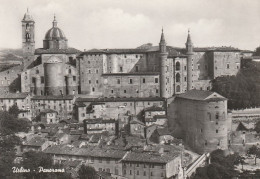 AD101 Urbino - Panorama Della Città / Viaggiata 1969 - Urbino
