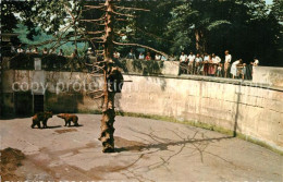 12955913 Bern BE Baerengraben Zoo Bern - Autres & Non Classés