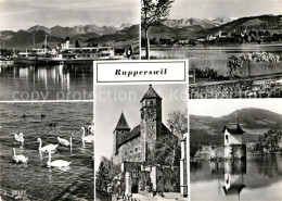 12952512 Rapperswil SG Am Zuerichsee Dampfer Schwaene Burg Kapelle Alpenblick Ra - Autres & Non Classés