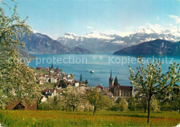 12926694 Weggis Vierwaldstaettersee Panorama  Weggis - Altri & Non Classificati