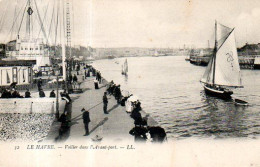 Le Havre (76) : Voilier Dans L'avant Port - Portuario