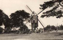 00006-LE-59-MONT-CASSEL-Le Moulin Qui Vient D'être érigé Sur L"emplacement De KASTEEL MEULEN-Incendié Le 30 Oct 1911--- - Cassel