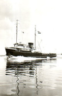 Bateau Remorqueur Rode Zee - Tugboats