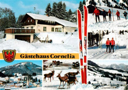 73788497 Jungholz Tirol AT Gaestehaus Cornelia Skilift Panorama Wildfuetterung  - Autres & Non Classés