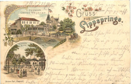 Gruss Aus Lippspringe - Pension Wegener - Litho - Bad Lippspringe