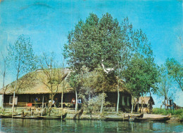 Navigation Sailing Vessels & Boats Themed Postcard Danube Delta Fish Restaurant - Voiliers