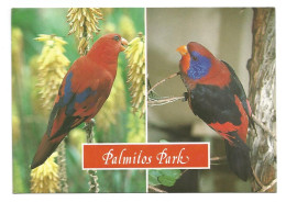 PARROTS In PALMITOS PARK - MASPOLAMAS - GRAN CANARIA - LAS PALMAS - SPAIN - - Vögel