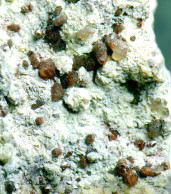 Mineral - Sfalerite (Missouri, USA) - Lot. 1158 - Minerals