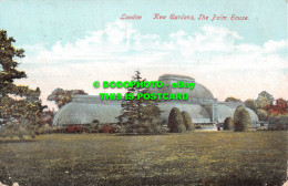 R531036 London. Kew Gardens. Palm House. Empire Series London No. 807. 1905 - Other & Unclassified