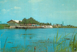 Navigation Sailing Vessels & Boats Themed Postcard Romania Danube Delta Rowboats - Sailing Vessels