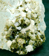 Mineral - Vesuvianite (Braone, Brescia, Italia) - Lot. 1161 - Minéraux