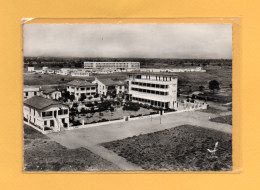 (27/04/24) 66-CPSM ARGELES SUR MER - Argeles Sur Mer