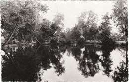 CPSM DE LOZÈRE-SUR-YVETTE  (ESSONNE)  LE LAC - Sonstige & Ohne Zuordnung