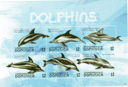 Dominica Kleinbogen Delphine - Baleines