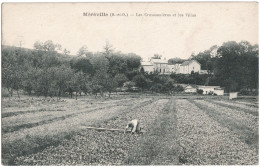 CPA DE MÉRÉVILLE  (ESSONNE)  LES CRESSONNIÈRES ET LES VILLAS - Mereville