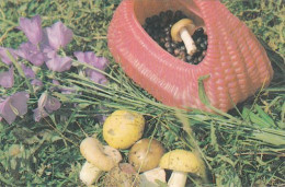Russula, Mushrooma, USSR, 1991  90 X 60 Mm - Tamaño Pequeño : 1991-00