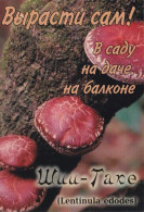 Lentinula Edodes, Mushrooms, 2006, Russia, 65x 95 Mm - Tamaño Pequeño : 2001-...