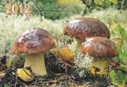 Boletus Pinophilus, Mushrooma, Russia, 2012,  100 X 70 Mm - Tamaño Pequeño : 2001-...