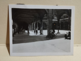 Italia Foto Piccola BOLOGNA 1948 - Europe