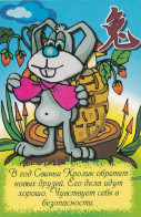 Rabbit, Mushrooma, Russia, 2007,  55 X 85 Mm - Tamaño Pequeño : 2001-...