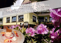 73787401 Grasellenbach Landgasthof Hagen Grasellenbach - Other & Unclassified