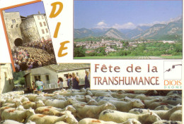 Cpm Cpsm Die  Fête De La Transhumance - Die