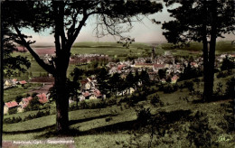 H1684 - Auerbach In Der Oberpfalz - Hans Rau - AKO Auf ADOX - Auerbach