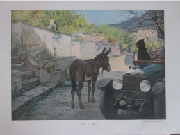 1924  ANE Chien Voiture Ancienne - Non Classés