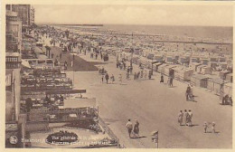 AK 215576 BELGIUM - Blankenberghe - Algemeen Gezicht Op Het Strand - Blankenberge