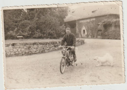 Mobylette ; Chien - Photo Format  12.2 X 8.4  ( G.2529) - Autres & Non Classés